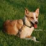 What’s in the name?